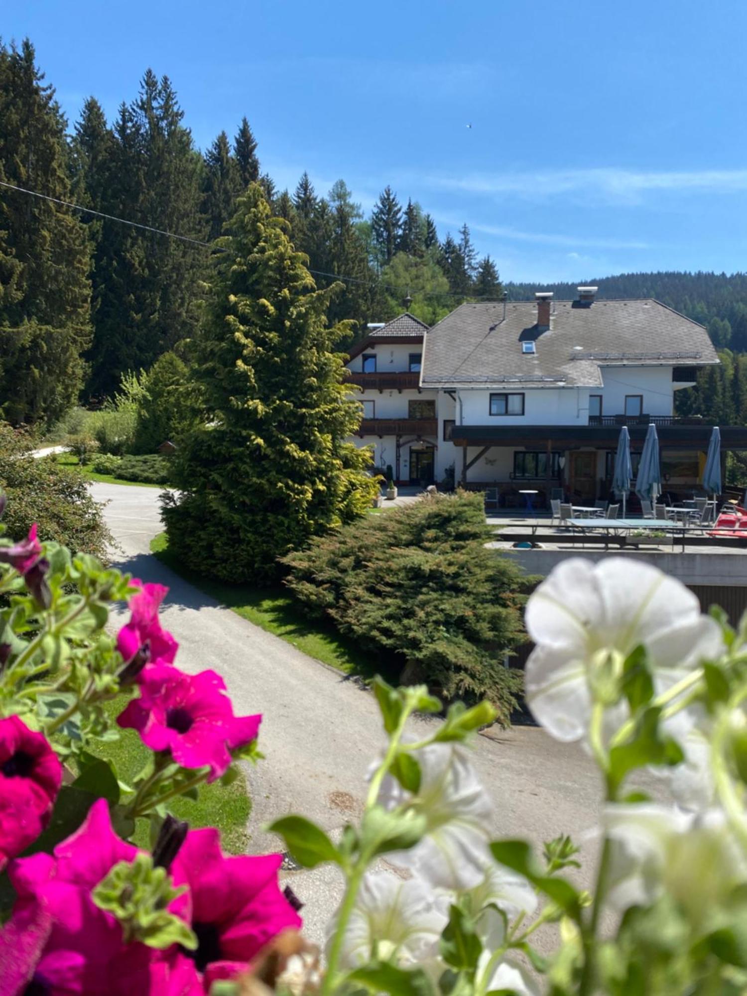 Forellenwirt Bacher Kirchberg  Luaran gambar