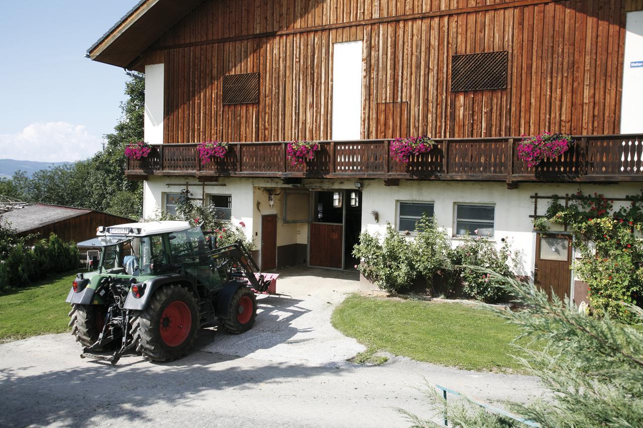 Forellenwirt Bacher Kirchberg  Luaran gambar